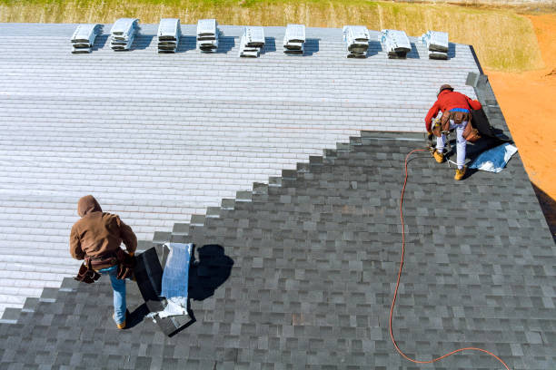 Best Roof Gutter Cleaning  in Visalia, CA